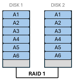 RAID 1